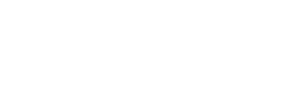Fins Logo