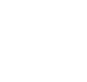 Overly Cheeky Ocelot Logo